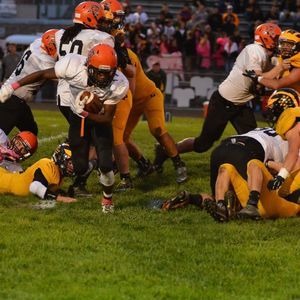 Meet your Posher, Troy